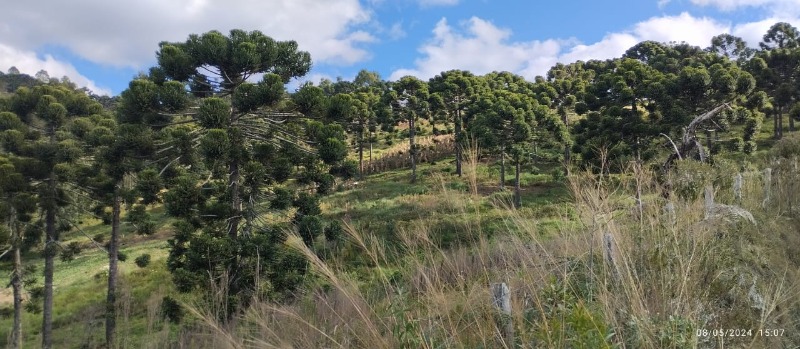 Terreno - Rural